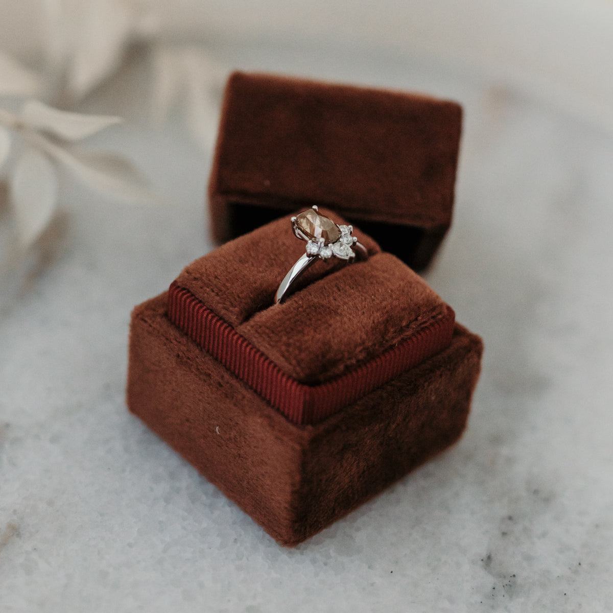 The Lyra | 14k | White | Size 6.5 | Stone MOS57 | Fremont Ring Box | Custom Engraving: +$0