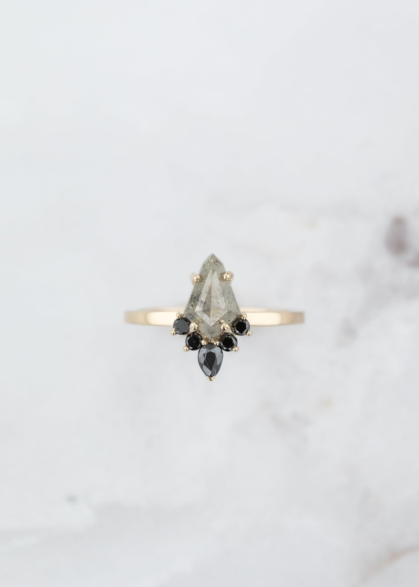 The Estelle Setting - VENVS