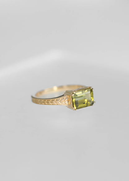 The Sage | 1.56ct Emerald Cut Tourmaline | Yellow Gold