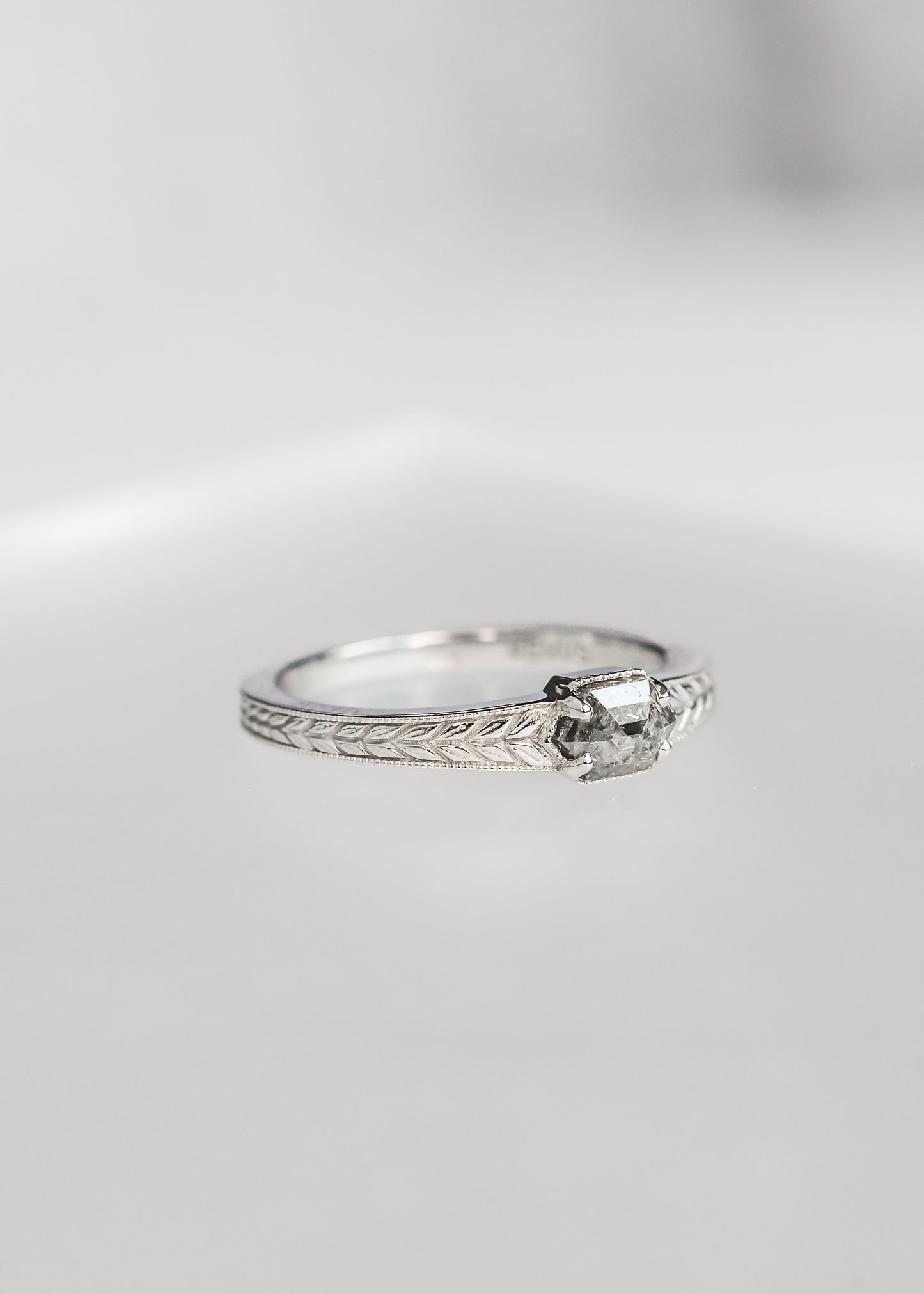The Sage | .52ct Hexagon Salt & Pepper Diamond | White Gold