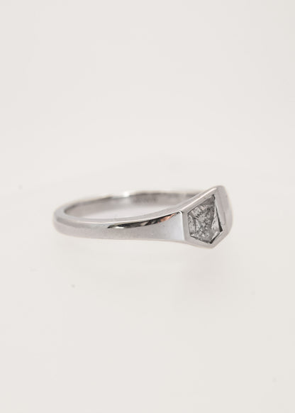 The Apollo | .79ct Shield Salt and Pepper Diamond | White Gold