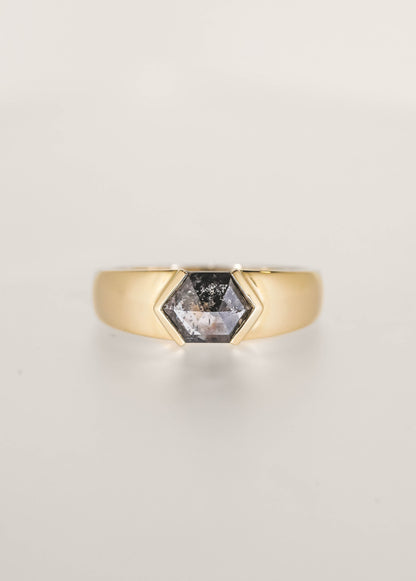 Gender neutral masculine east west hexagon salt and pepper diamond engagement ring in 14K yellow gold with a wide domed band and half bezels