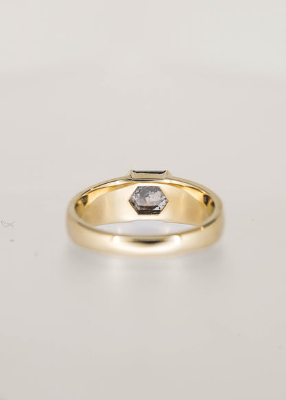 The Quinn | 1.18ct Hexagon Salt and Pepper Diamond | Yellow Gold