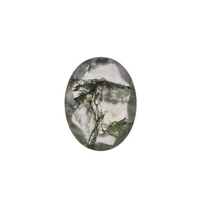 The Vega | 14k | White | Size 6.25 | Stone MOS281 | Moss Ring Box | Custom Engraving:  +$0