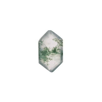 The Apollo | 14k | White | Size 5 | Stone MOS196 | Moss Ring Box | Custom Engraving:  +$0