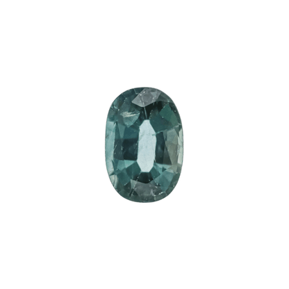 The Sage | Platinum | White | Size 8.25 | Stone SA20 | Lagoon Ring Box | Custom Engraving:  +$0