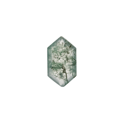 The Lyra | 14k | White | Size 5 | Stone MOS187 | Green Ring Box | Custom Engraving:  +$0