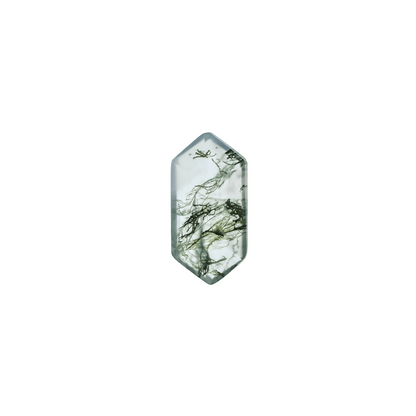The Lyra | 14k | White | Size 7 | Stone MOS182 | Moss Ring Box | Custom Engraving:  +$0