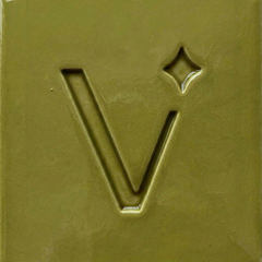 VENVS