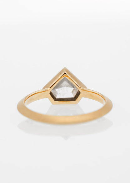 The Leda | 1.27ct Shield Salt and Pepper Diamond | 18k Yellow Gold