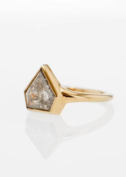 The Leda | 1.95ct Shield Salt and Pepper Diamond | 18k Yellow Gold