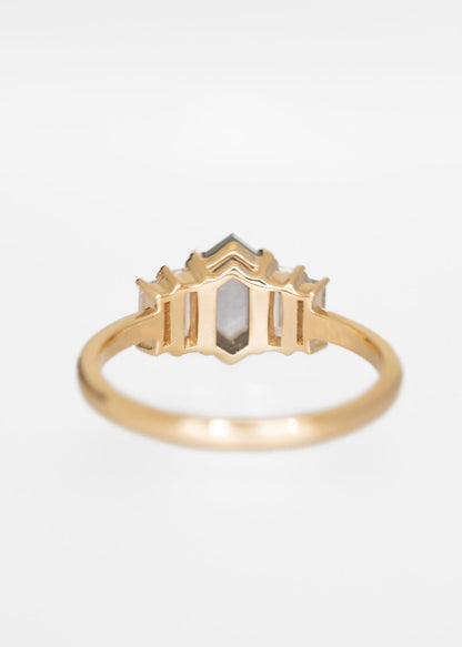 The Portia | 1.31ct Hexagon Salt and Pepper Diamond | Yellow Gold