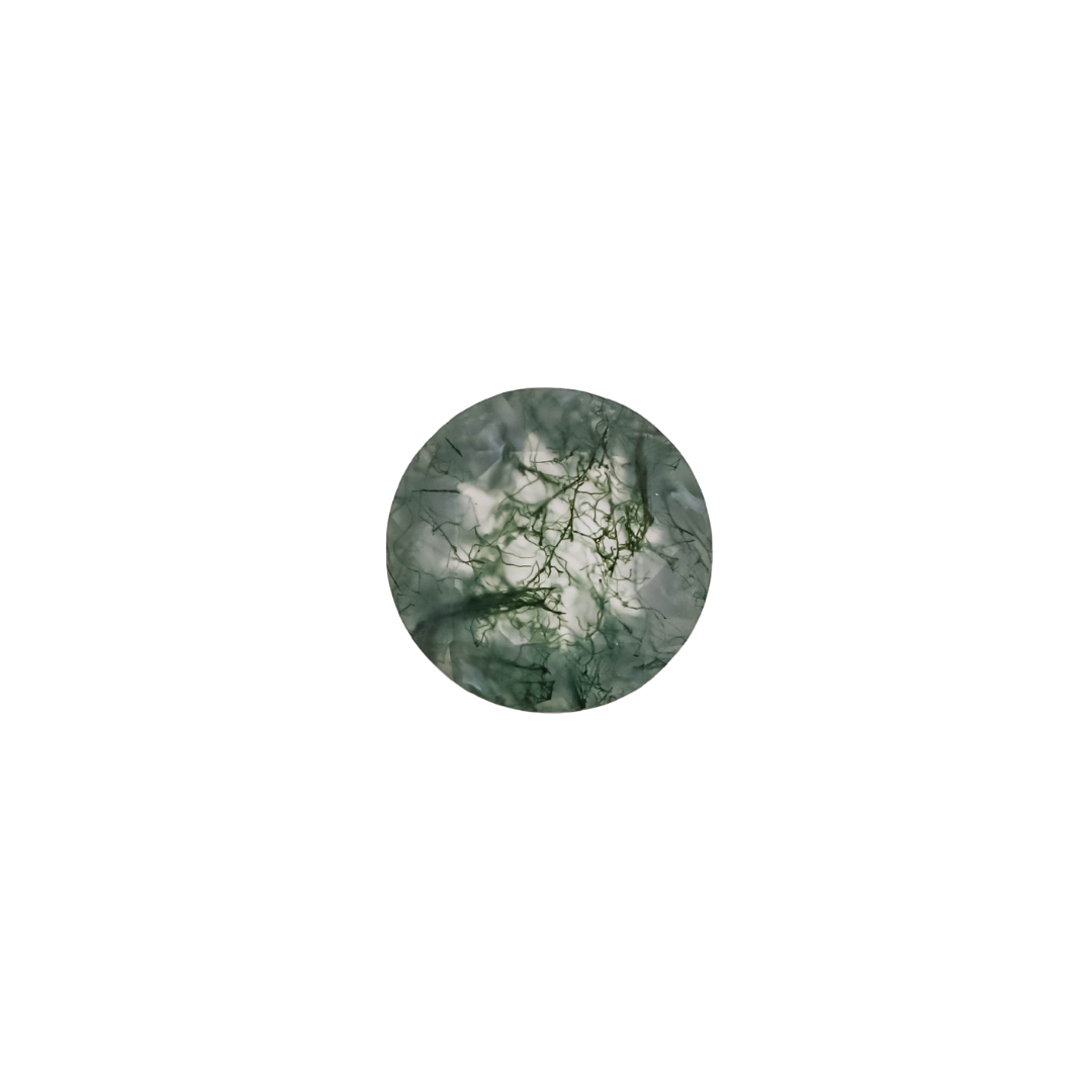 The Wolfe | 14k | White | Size 9.25 | Stone MOS251 | Moss Ring Box | Custom Engraving:  +$0