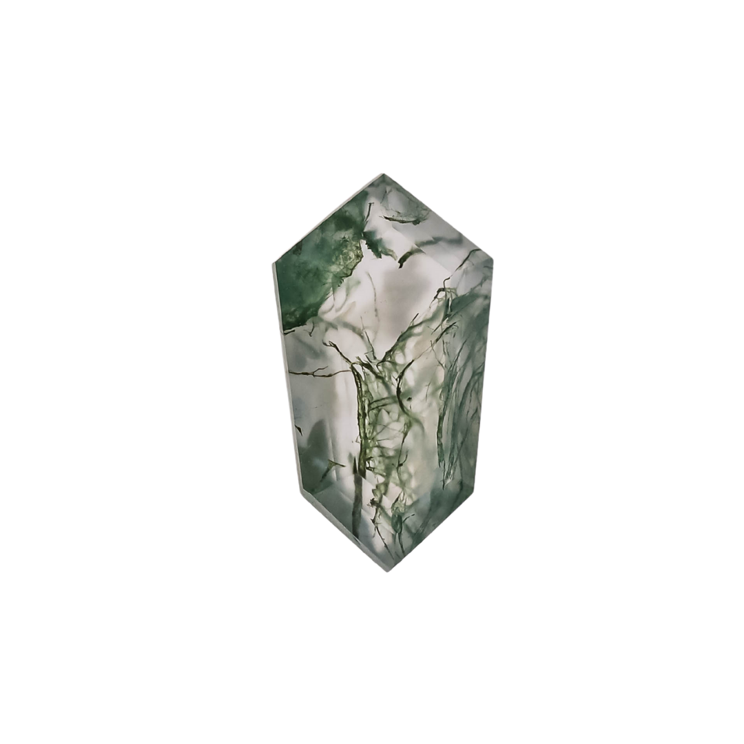 The Lyra | 14k | White | Size 9.25 | Stone MOS236 | Blue Ring Box | Custom Engraving:  +$0