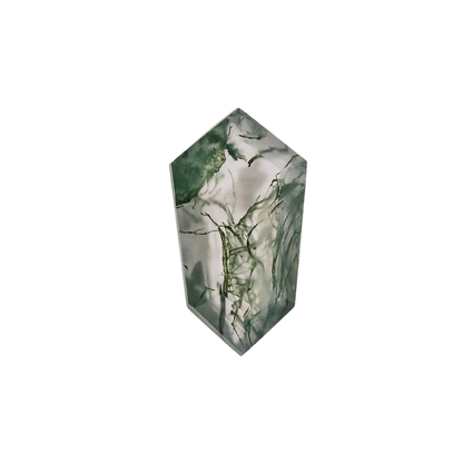 The Lyra | 14k | White | Size 9.25 | Stone MOS236 | Blue Ring Box | Custom Engraving:  +$0