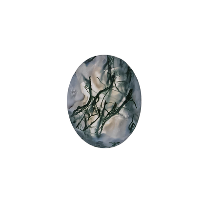 The Aurora | 14k | White | Size 8 | Stone MOS294 | Lagoon Ring Box | Custom Engraving:  +$0
