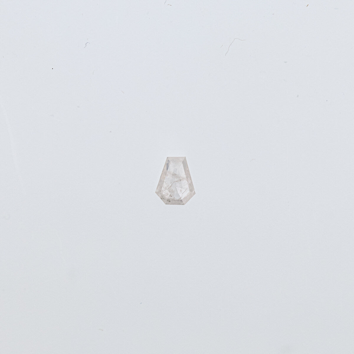 The Vega | 14k | White | Size 7.75 | Stone KT51 | Cinque Ring Box | Custom Engraving:  +$0