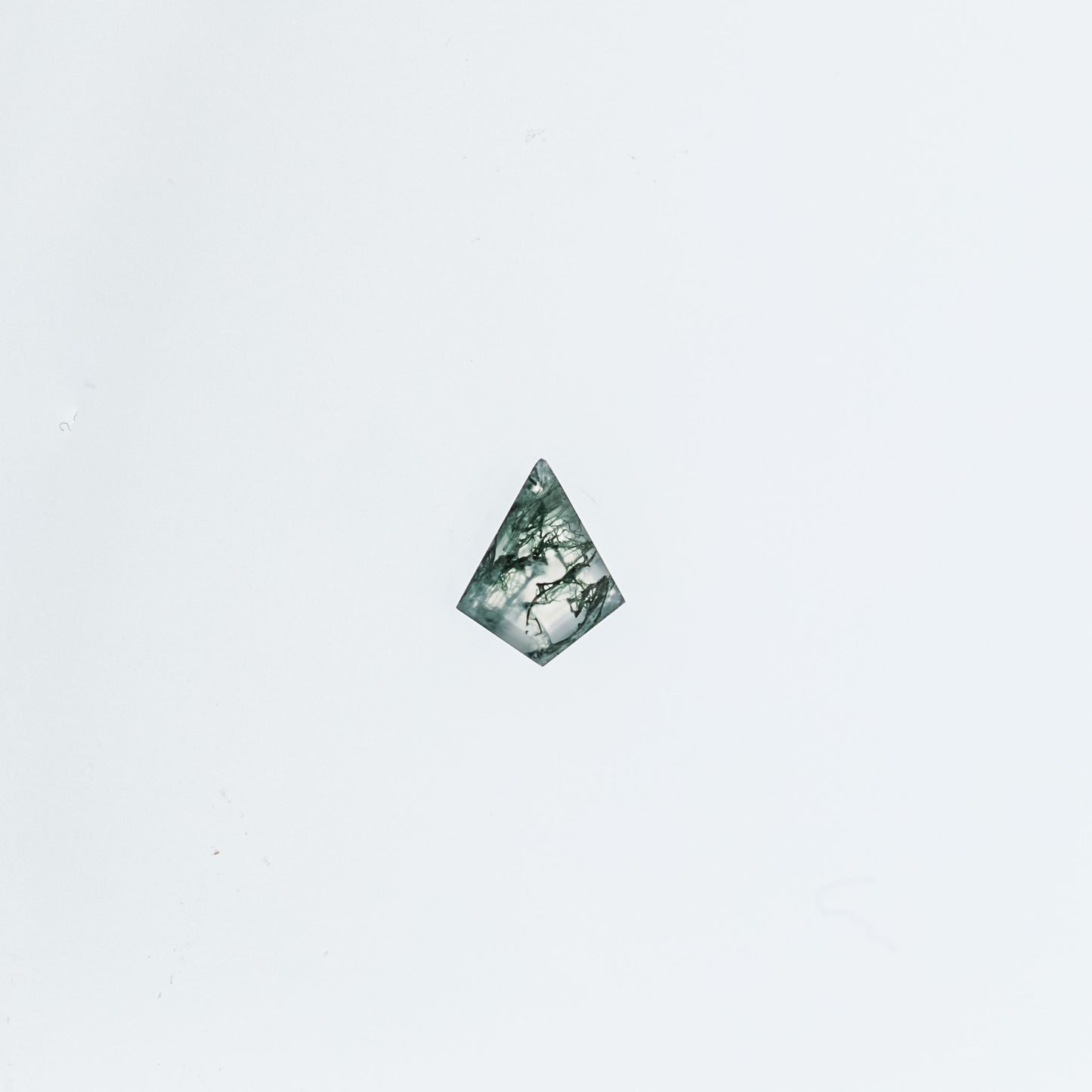 The Jett | Platinum | White | Size 7 | Stone MOS8 | Rainforest Ring Box | Custom Engraving: Caca +$75