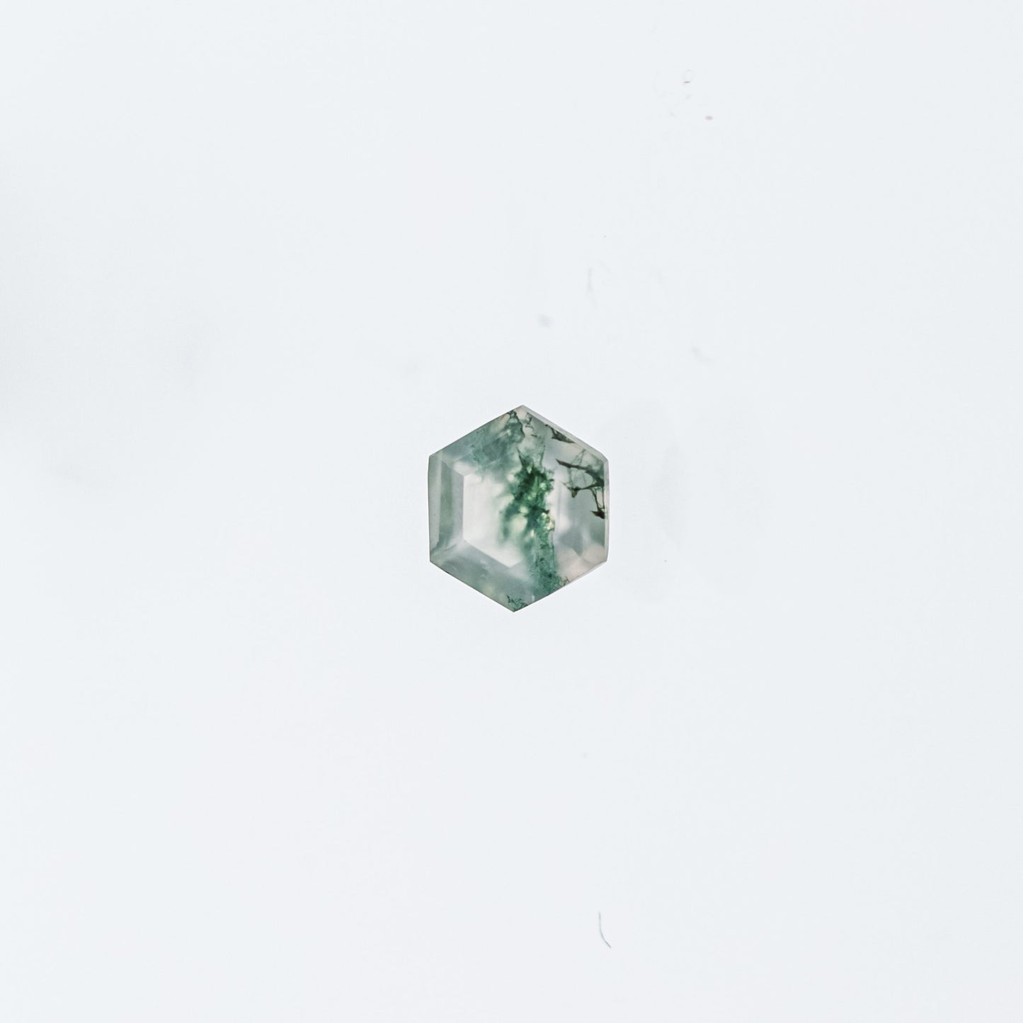 The Calisto | 14k | White | Size 7.5 | Stone MOS24 | Rockies Ring Box | Custom Engraving:  +$0