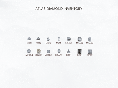 The Atlas Setting - VENVS