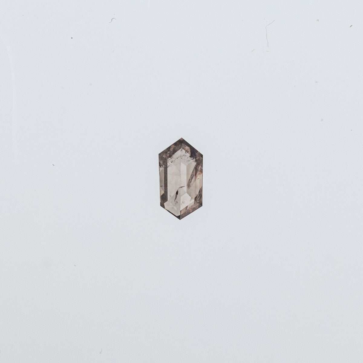 The Skye | 14k | White | Size 8.75 | Stone HX21 | Antelope Ring Box | Custom Engraving:  +$0
